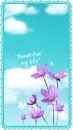 BEAUTIFUL MY LIFE