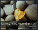 never give up