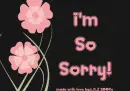 I'm So Sorry