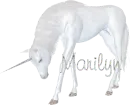 Marilyn