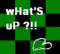whats up