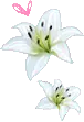 white flowers