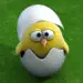 cute chicken