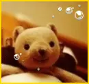 cute bear