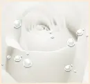 white rose