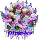 DIMPLES