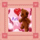 Bear-Ari