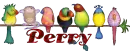 PERRY