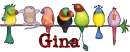 GINA