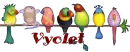 VYOLET
