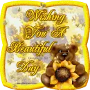Wishing You A Beautiful Day