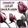Beauty