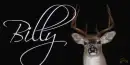 Buck Deer Tag- Billy