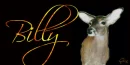 Doe Deer Tag- Billy