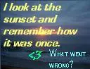 What went wrong