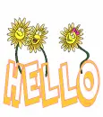 Hello Flowers