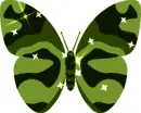 Butterfly: Tabby