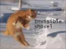 invisible shovel