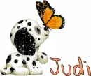 Judi-Dalmation pup