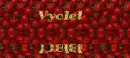 name  Vyolet