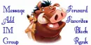 Lion King Timon & Pumbaa Contact Table