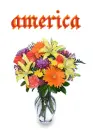 america