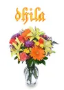 dhila