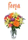 feeza