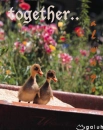 together..always