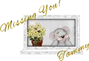 Tammy creddy bear