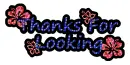 Thanks for looking