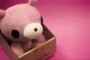 gloomy bear