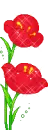 red flowers