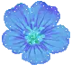 blue flower