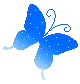 blue butterfly