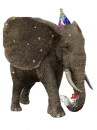 The real Dumbo