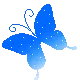 blue butterfly