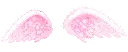 pink wings