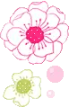 lovely flowers