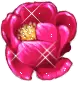 red flower