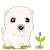 little puppy