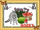Rocky