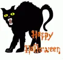 happy halloween,cat