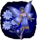 Sara Fairy