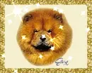 Chow Chow (glitter boarder & sparkles)