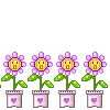 Singing Flowers