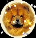 Chow Chow (with sparkles) in circle