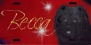 Chow Chow (black) Tag- Becca