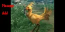 Final Fantasy