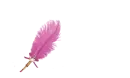 Melissa - Feather Pen Dark Pink